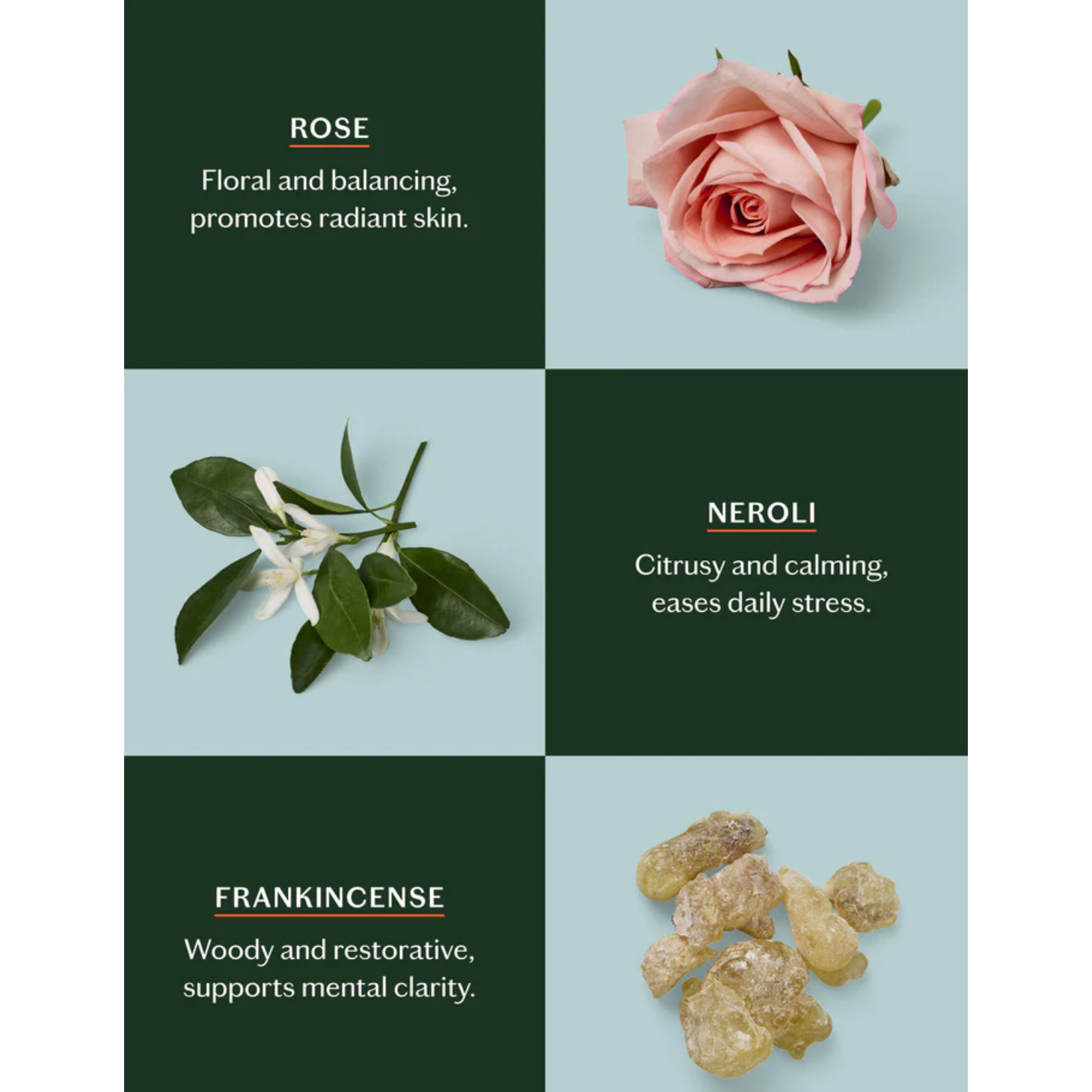 Daily Stone- Mini | Deep Moisturizing Lotion Bar - Beauty Mark Company