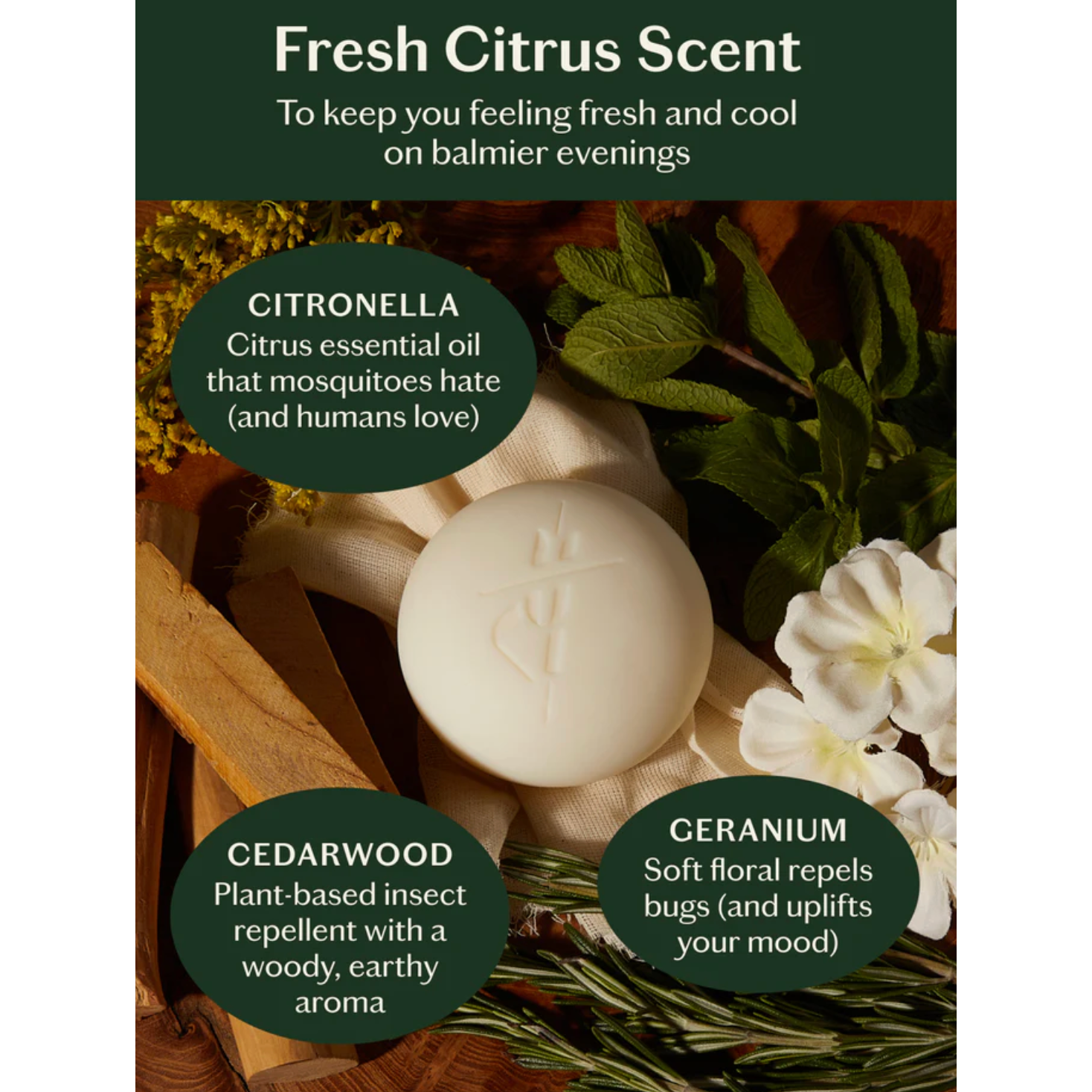 Dusk Stone - Beauty Mark Company