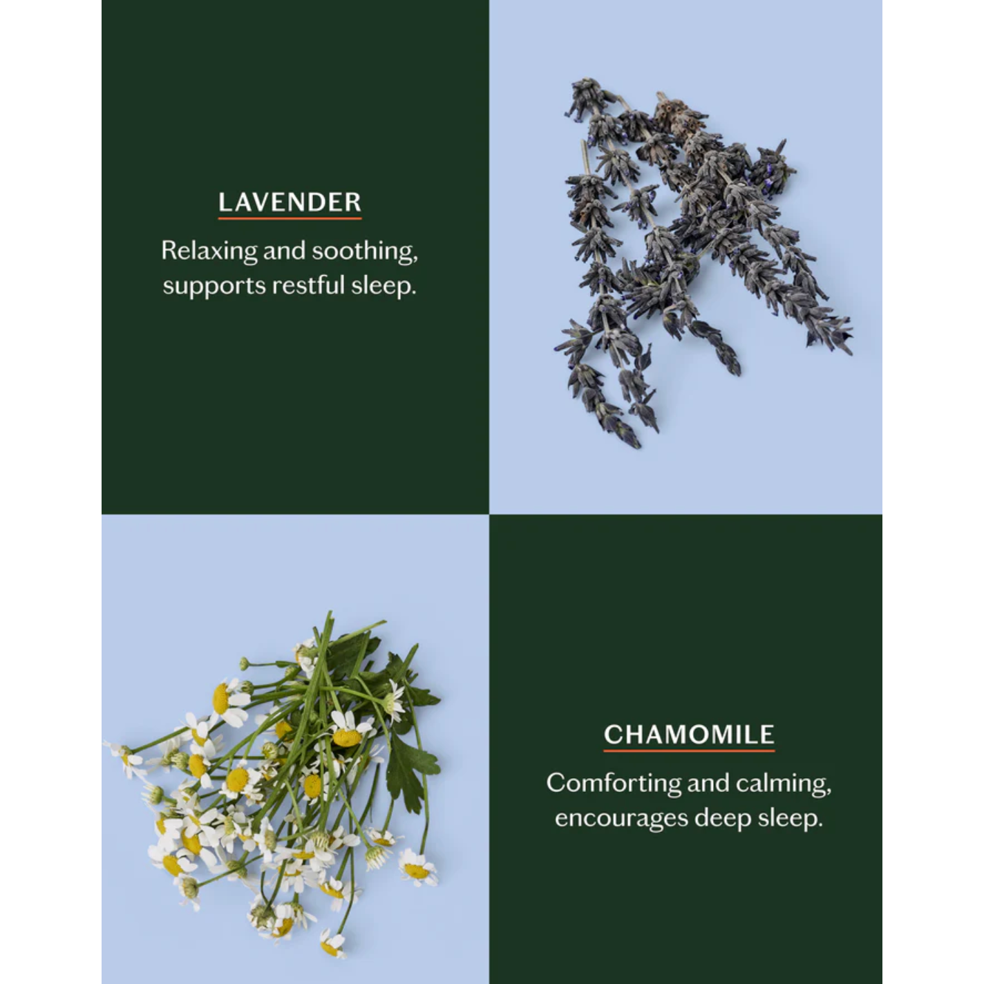 Sleep Stone - Mini | Deep Moisturizing Lotion Bar - Beauty Mark Company