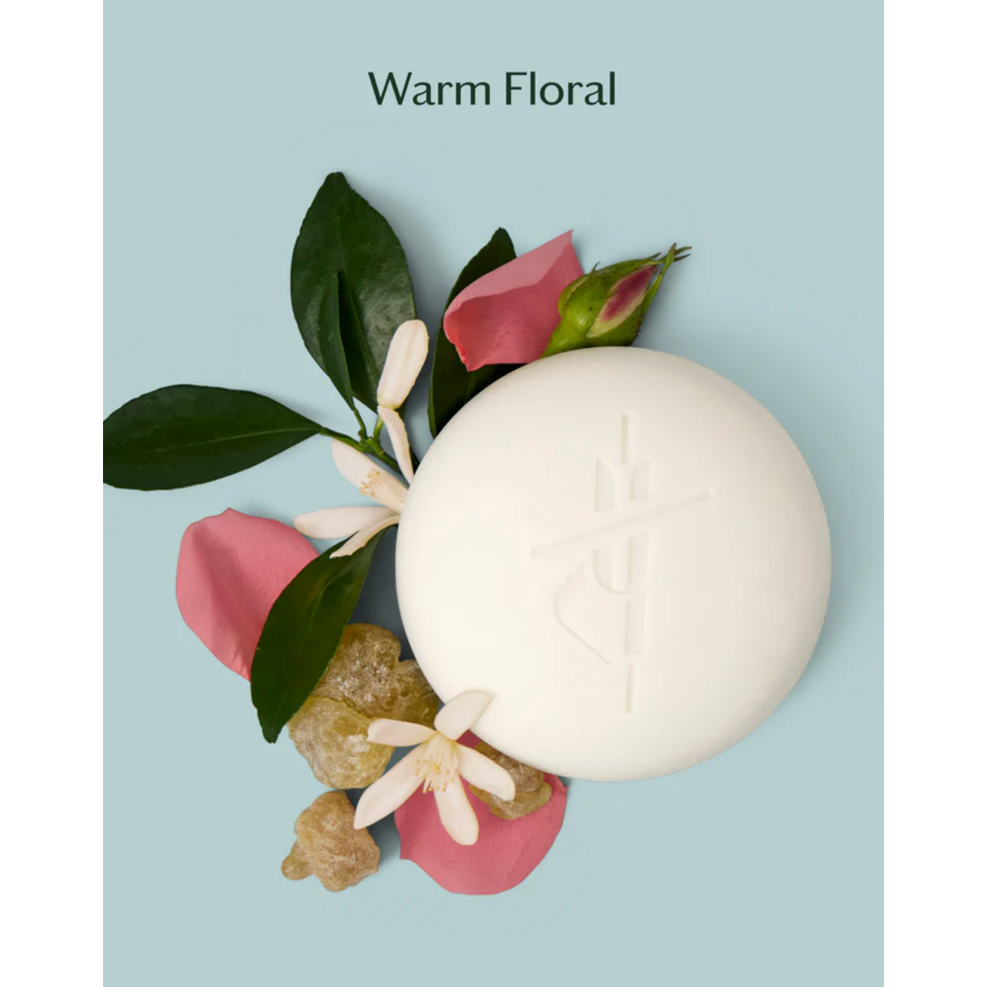 Daily Stone- Mini | Deep Moisturizing Lotion Bar - Beauty Mark Company