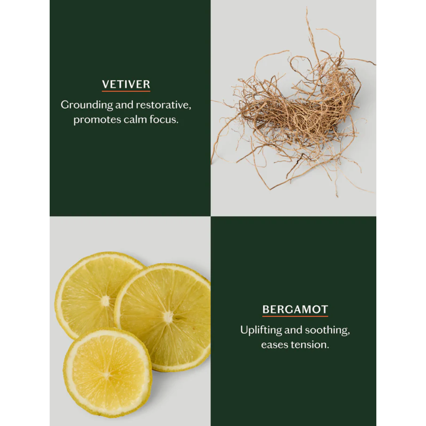 Grounding Stone - Mini | Deep Moisturizing Lotion Ba - Beauty Mark Company