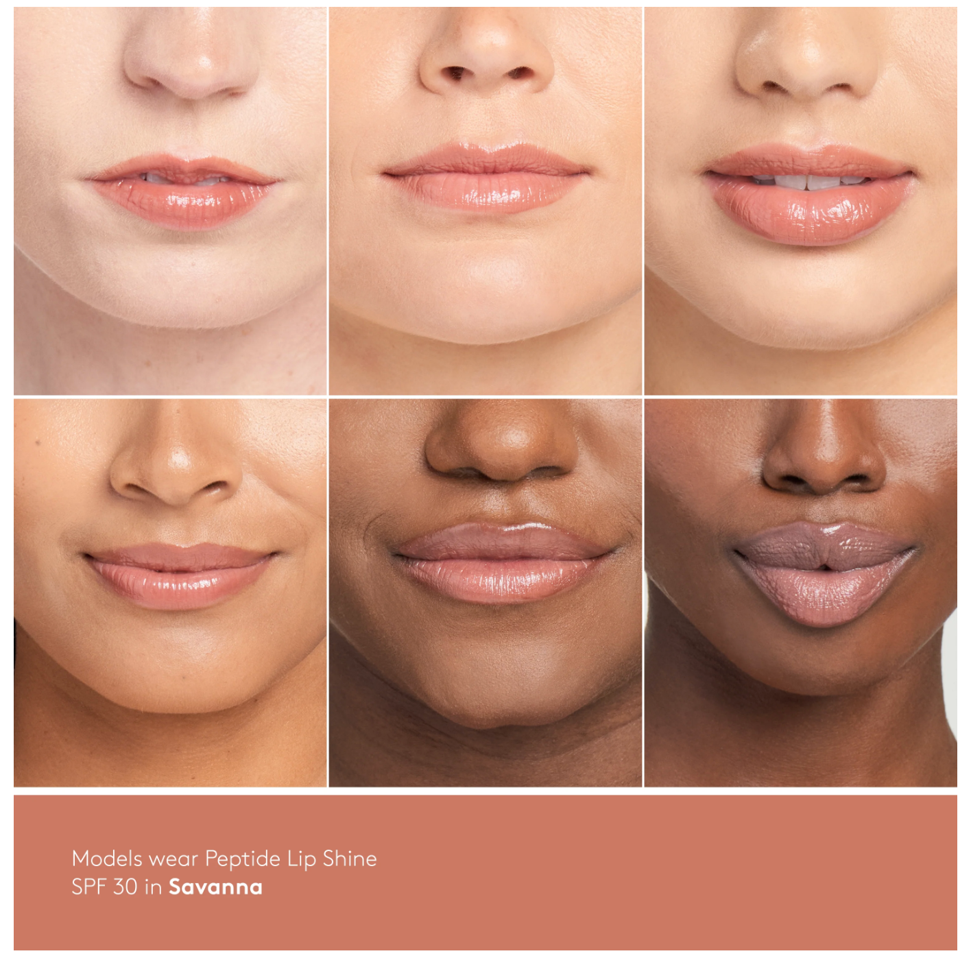Peptide Lip Shine SPF 30 - Savanna - Beauty Mark Company